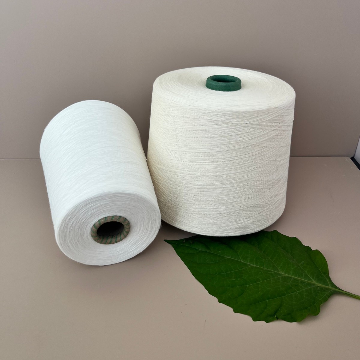 天丝纱的特点？ 国产天丝纱的优势？ 天丝棉纱的性能？ 2405规格齐全-17667199207